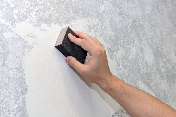 Best Industrial Mold Remediation  in Cape Coral, FL