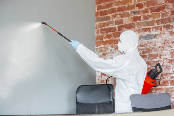 Asbestos and Lead Testing During Mold Inspection in Cape Coral, FL