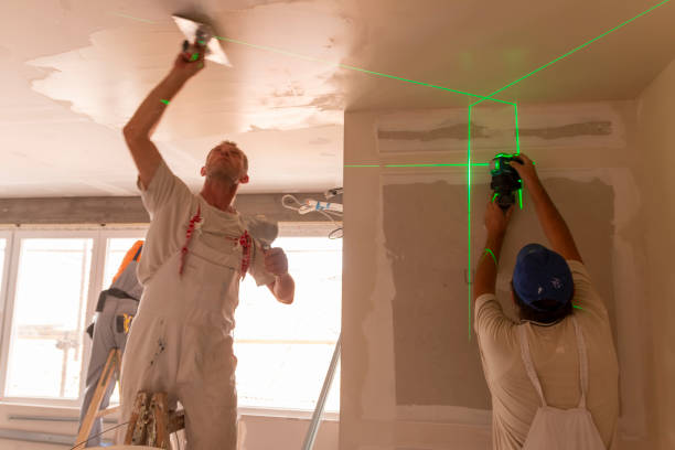 Best Water Damage & Mold Remediation  in Cape Coral, FL