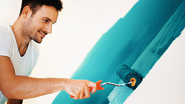 Best Mold Documentation for Insurance Claims  in Cape Coral, FL